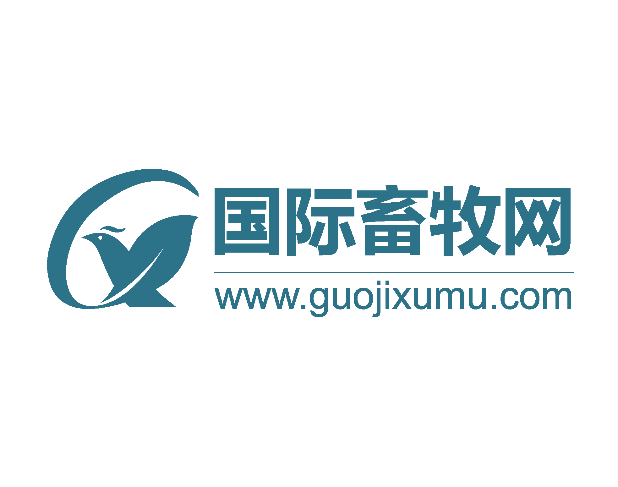 Guojixumu.com